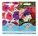 Mr Fothergill's Seeds Petunia C Collection