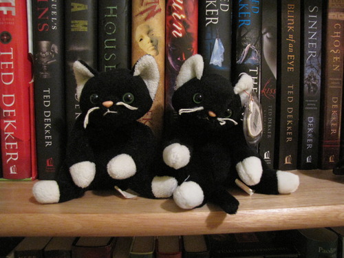 Amazon.com: Zip the Black Cat - Ty Beanie Babies: Toys & Games