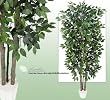 7' Artificial Ficus Tree with Real Wood Trunks, 1134 Leaves