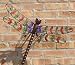 Ancient Graffiti Stained Glass Dragonfly Wall Mount