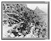 Historic Print (L): [Mule train and tourists on horseback in Arizona'a Grand Canyon, 1920]