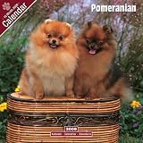 Eigenschaften Avonside Publishing Ltd.  / Kalender 2009 Pomeranian - Zwergspitz