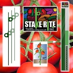 Garden Stake Kit - Tomato Stakes - 6 Stakes plus Accessories (fls)