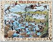 White Mountain Puzzles Wild Ducks