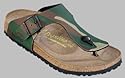 PAPILLIO Ramses, Thong,