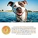 Solid Gold Garlic Doggie Bagels, Holistic Dog Treat, All Ages, All Sizes, 14.4oz (Packaging May Vary)