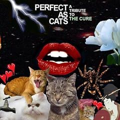 Perfect As Cats