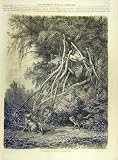 1863 人の北アメリカのインドのオオカミのオオカミのフランス人の印刷物 北アメリカ