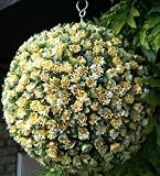 from TopBalls Artificial Yellow Rose Bud Balls 30cm
