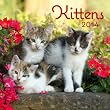 2014 Kittens Wall Calendar