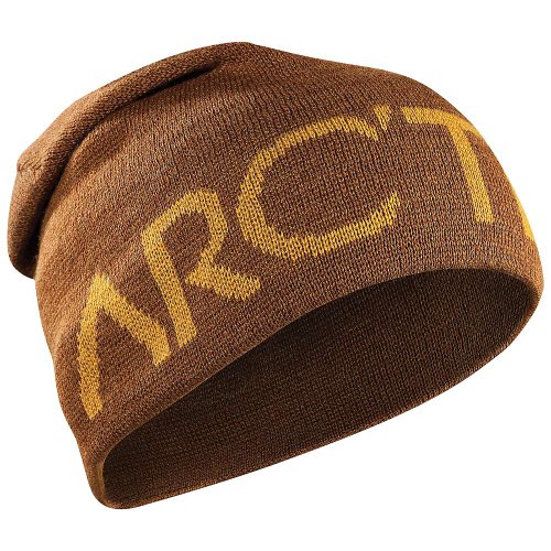 Arcteryx Word Head Long Toque