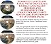 Massive Cash Flow Pack with Generate Extra Cash, Sales Models and eCommerce for Computer Security Software Businesses 3 CD Combo Pack
