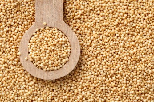 Organic Amaranth Seeds 16 Oz