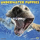 2016 Underwater Puppies Wall Calendar