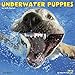 Underwater Puppies 2016 Calendar