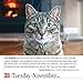 365 Cats 2017 Color Page-A-Day Calendar