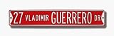 27 Vladimir Guerrero Dr
