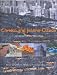 Christo and Jeanne-Claude: The Wurth Museum Collection
