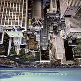 Everybody Knows [VINYL]