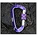 Hanxue D Shape Pet Buckle Camping Fishing Hiking Hook Carabiner Keychain