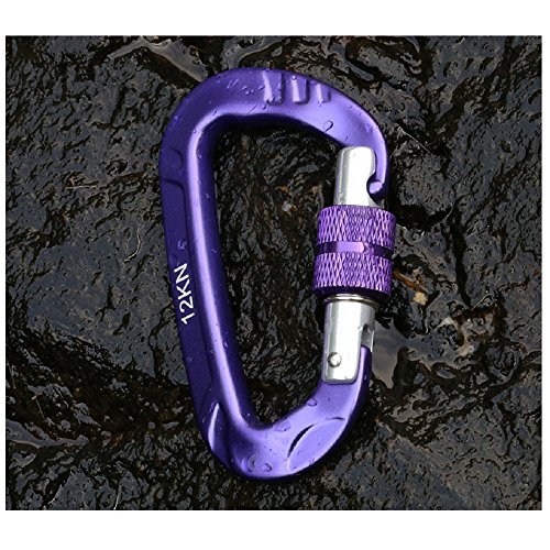 Hanxue D Shape Pet Buckle Camping Fishing Hiking Hook Carabiner Keychain