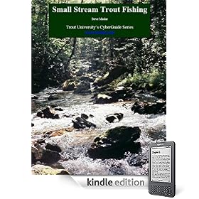 Small Stream Trout Fishing (CyberGuide)
