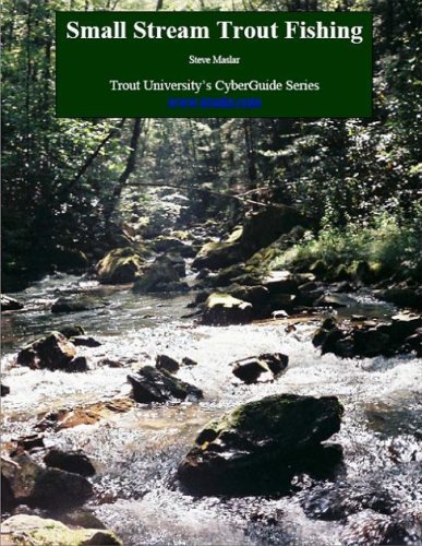 Small Stream Trout Fishing (CyberGuide)