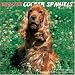 COCKER SPANIEL 2009 WALL CALENDAR NEW AND SEALED