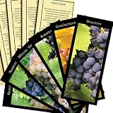 Vinifera: The World's Great Wine Grapes And Their Stories