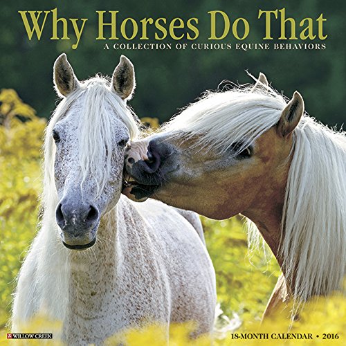 2016 Why Horses Do That Wall Calendar