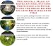The Mega Earn More Money, Marketing and Inner Game for Brass Rivets On-line Businesse...