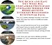 The Quick and Easy Get More Biz, Godfather Principles and Sales Models for Home Accents Internet Businesses 3 CD Power Pack