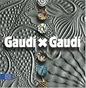 Gaudi X Gaudi (English-Spanish-German Edition)