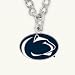 Penn State University Nittany Lions NCAA College Sports Team Chain Necklace and Enameled Pendant Sports Team Logo