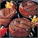 Omaha Steaks 6 (5 oz) Bacon-Wrapped Filet of Top Sirloin