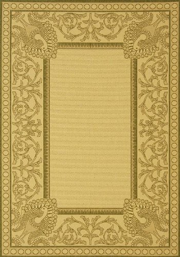 Pavo Area Outdoor Area Rug, 6'7