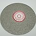 Grit 100 Diamond Coated 6