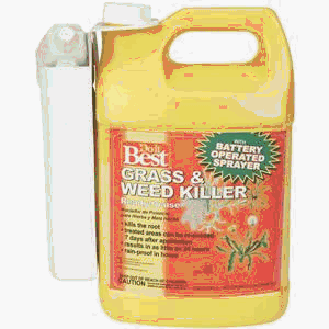 Maid Brands 738613 Rtu Grass & Weed Killer