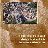 Produkt-Bild: Sulzbach und das Land zwischen Naab und Vils im fr&uuml;hen Mittelalter