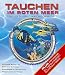 Tauchen im Roten Meer