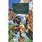 Discworld Books 14-26