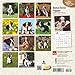 Boston Terrier Puppies 2016 Calendar