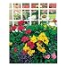Springbok Garden Window 1000 Piece Jigsaw Puzzle