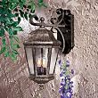 Minka Taylor Court Vintage Rust Outdoor Light 8612-61