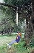 Spring Swings Original Disc Swing