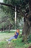 Spring Swings Original Disc Swing