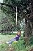 Spring Swings Original Disc Swing