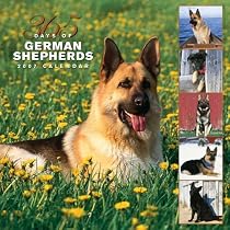 German Shepherds 365 Days 2007 Calendar