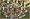 Rollercoaster Tycoon Deluxe (Jewel Case)