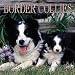 Border Collies Calendar: 2001
